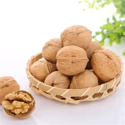 Nueces crudas con cáscara
